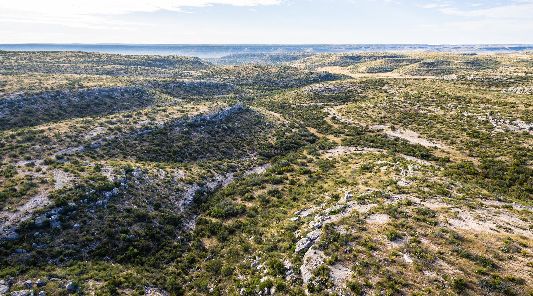 Cerf Pasture of the Longfellow Ranch | Chas S. Middleton